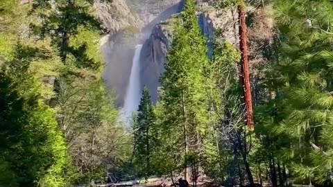 Take in The Breathtaking beauty of yosemite Falls