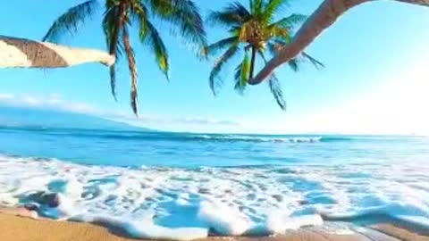 Beach days in Maui, Hawaii.