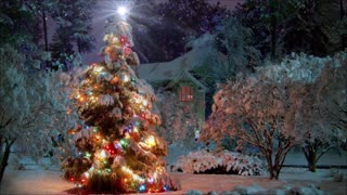 Winter merry Christmas Night Ambience with Relaxing Jazz Music and Snowflakes christmas pine tree