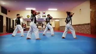 Taekwondo