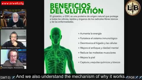 IMPORTANCE OF GLUTATHIONE IN THE REDOX BALANCE FOR GRAPHENE OXIDE BIODEGRADATION