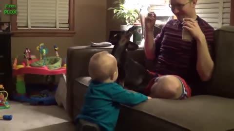 Dogs Make You Baby Laugh Funny Hillarious video!!!!!