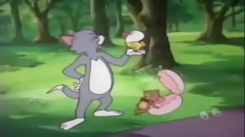 Tom And Jerry Bike Race Chase Full Episodes New Compilation