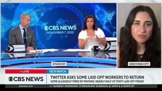 Twitter asks dozens of former employees to return days after massive layoffs