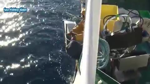 Amazing Automatic Longline Fishing Net Catch Giant Fish - Awesome big catching on the sea