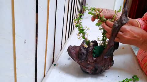 Flower arrangement ideas using a carved root