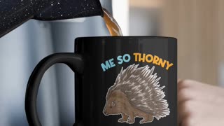 Porcupine - Me So Thorny Mug