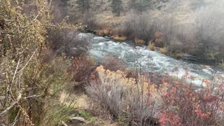 Central Oregon – Steelhead Falls – Wilderness River Hiking