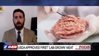 USDA Approves Gates-backed Fake "Meat" for US Market - Alex Newman on OAN