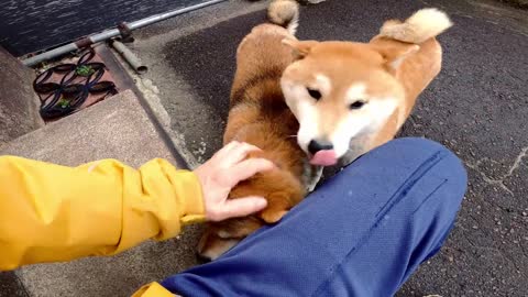 2022年12月10日(土)寒くてもパン職人の朝は早い