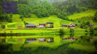 MEADOW SOUNDS - LISTEN TO NEARBY FARM AND BIRDS CHIRPING