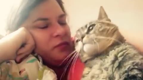 Talking cat says no two kiss on the head