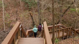 This Boardwalk In Florida Leads To A Hidden Miniature Rain Forest