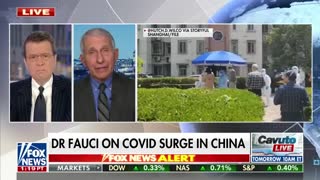 Dr. Fauci fires back at Elon Musk- 'Clueless' on what he's talking about