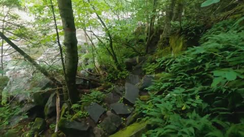 Running One of the Toughest Races in Canada - QUEBEC MEGA TRAIL 100