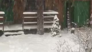 Snowstorm in Big Bear
