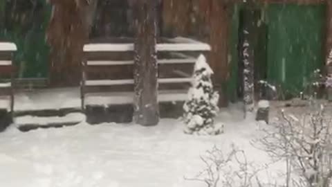 Snowstorm in Big Bear