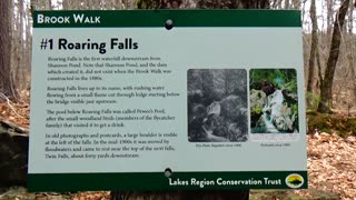 Roaring Falls