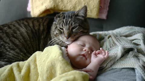 Cat preciously watches over newborn baby