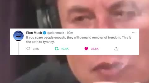 Musk popping off on Twitter