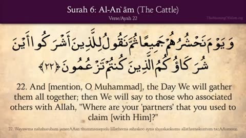 Quran: 6. Surat AL-An'am (The Cattle): Arabic to English Translation HD (Part 01)