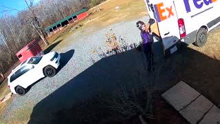 Rooster Gets Territorial Towards FedEx Delivery Driver