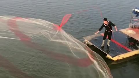 Catching fish with a cast net #fishing #fishfry #cast #catch