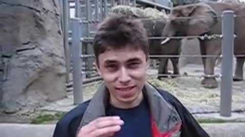 Me at the Zoo with elephant