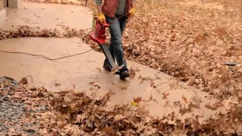 Best 5 Battery Powered Leaf Blower ( Top 5 Battery Powered Leaf Blower )