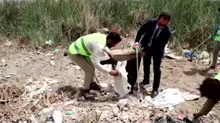 Volunteers spearhead Iraqi marsh clean-up campaign