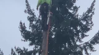 Tree topping