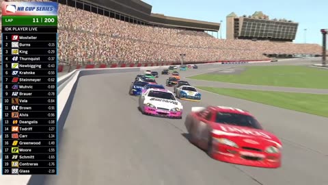 NASCAR RACE