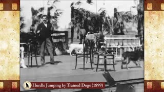 Hurdle Jumping; by Trained Dogs (1899) 🐱 Cat Movies 🎥🐈