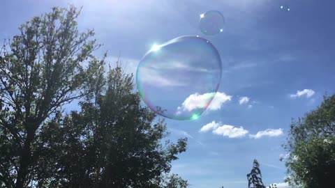 Beautiful Big Bubbles in a garden with music