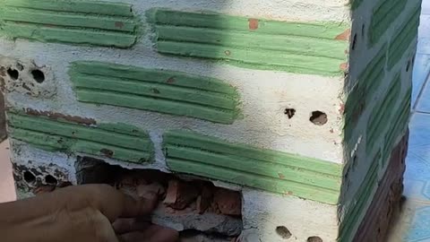 Kitten Rescued From Inside Brick Pillar