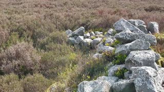 Mynydd Gôch cairns