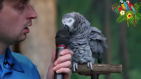 Einstein the African Grey Parrot showed off her vocabulary skills with a 200 sounds and words