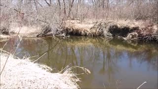 Checking around for a quiet spot by the creek