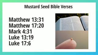 Mustard Seed Bible Verses