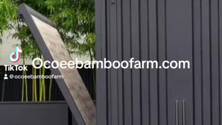 Create beautiful, outdoor spaces using Graceful Bamboo 407-777-4807 ocoee Bamboo Farm