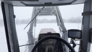 Feeding cattle on day 5 of blizzard.