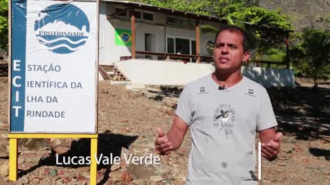 Mergulho na ilha de Trindade, ponto mais remoto do território Brasileiro