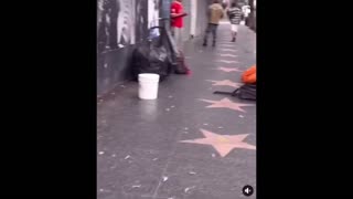 Hollywood Walk of Shame