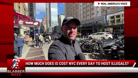 How Much Does Is Cost NYC Every Day To Host Illegals?