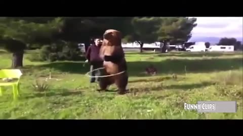 "Man vs. Bear - Crossing Public Way, Dancing and Scaring Man - Funniest Video Compilation Part 3"