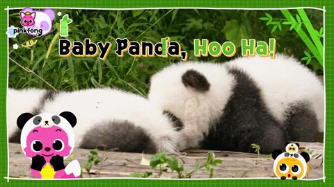 Baby Panda, Hoo Ha! - Kids Nursery Rhyme - Pinkfong Ninimo