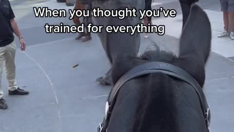 When you thought you've trained for everything