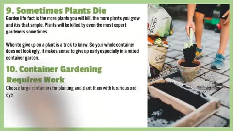 10 Container Gardening Tips