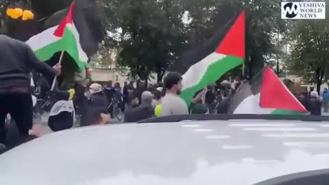 Israelites attack a group of pro-Palestinian and anti-Israel protesters in Chicago, USA.