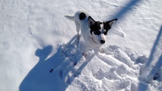 Everest in the snow